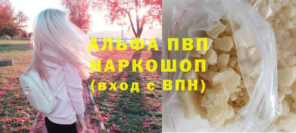 ГАЛЛЮЦИНОГЕННЫЕ ГРИБЫ Бородино