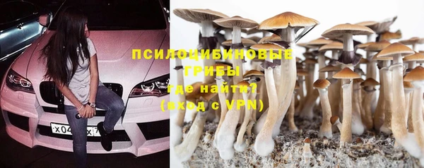 ГАЛЛЮЦИНОГЕННЫЕ ГРИБЫ Бородино