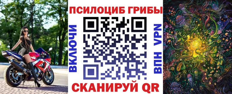 Галлюциногенные грибы GOLDEN TEACHER  купить   Армавир 